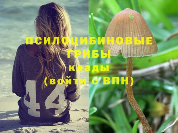 трава Белоозёрский