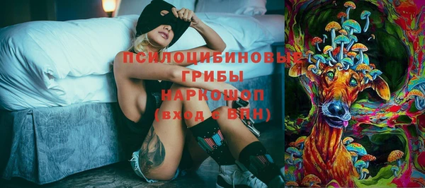 apvp Баксан