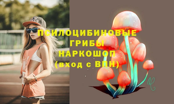 а пвп мука Балабаново