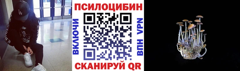 Галлюциногенные грибы мухоморы  Верея 